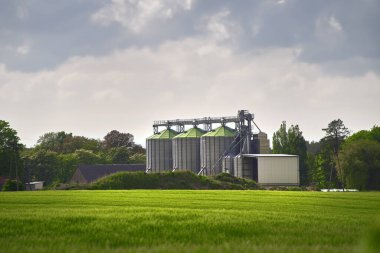 Çelik tahıl ambarları bir tarlanın yanında duruyor. Tarım endüstrisi manzarası. Çelik Silolar Geniş Alanları Kucaklıyor, Tarım Depolama ve İşleme Merkezleri Olarak Hizmet Ediyor
