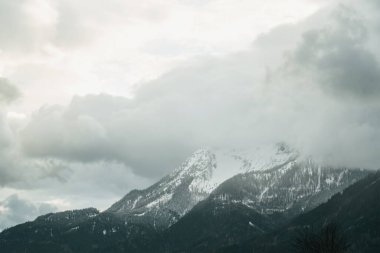 Misty Sükunet. Büyüleyici kozalaklı ormanlarda ve görkemli dağlarda bir yolculuk. Huzurlu Bir Yaz Sahnesinde Doğanın Huzurlu Güzelliğini Keşfedin, Ebedi Cazibeye Batmış