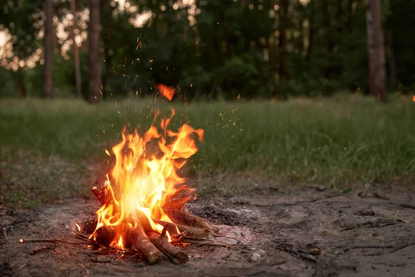 แคมป ไฟในป ไฟไหม ในตอนเย นหล งจากว นในป — ภาพถ่ายสต็อก