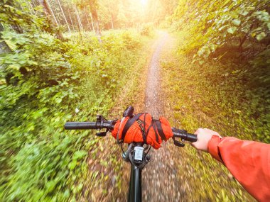 Ormana bisiklet gezisi. Bisiklet turu. Bisiklet çantalarıyla motosiklet gezisi. Şık bisiklet paketleri, bisiklet, spor kıyafetleri..