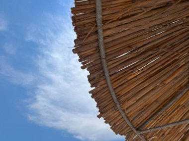 Tropikal Cennet 'te tatil. Tropik Cennete Kaçış. Romantik bir plaj kaçış planı.