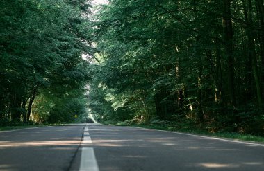 Yazın ormanda boş asfalt yolu olan bir manzara. Güzel kırsal asfalt yol manzarası. Güzel bir yol. Yeşil yapraklı ağaçlar ve güneşli gökyüzü.