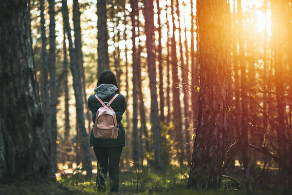 Journey of Solitude: A Woman's Enchanting Forest Exploration, Viewed from the Back. Woman standing in the forest. Girl wears backpack in the forest.