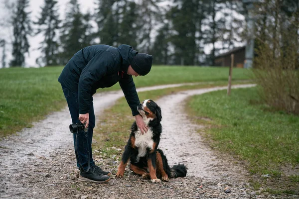 Glücklicher Junger Berner Welpe Verspieltes Berner Sennenhundeporträt Den Schweizer Alpen — Stockfoto