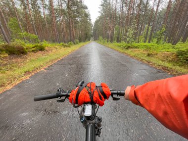 Ormana bisiklet gezisi. Bisiklet turu. Vahşi doğayı keşfediyorum. Ormanda Bisiklet Sürme Macerası. Bisiklet paketleme POV gezgini yolculuğu.