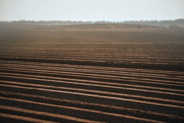 Çiftlik arazisinin toprağı. Manzara bir çayır toprağı. Çiftlik arazisi