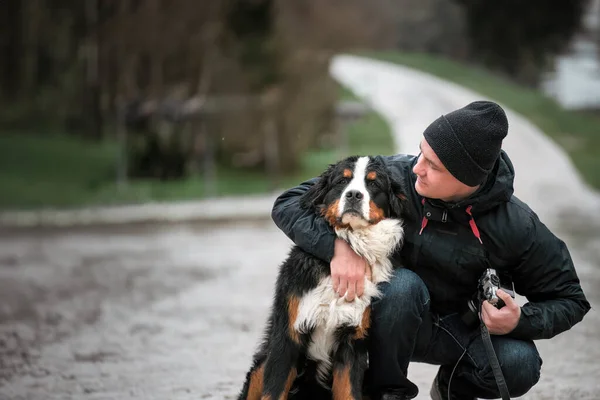 Glückliche Besitzerin Und Junger Berner Welpe Verspielter Berner Sennenhund Und — Stockfoto