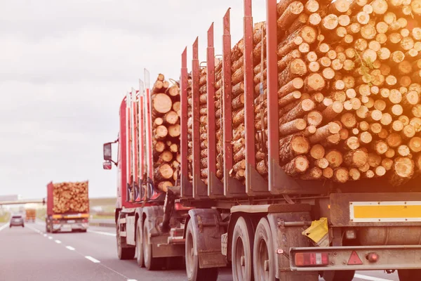 Handlowy Transport Drewna Dzienniki Ciężarówek Letni Dzień Wzdłuż Przedmieścia Autostrady — Zdjęcie stockowe