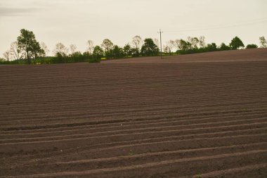 Tarım arazisi, tarımın ve ekimin hazırlandığı geniş araziyi gözler önüne seriyor. Toprak, zengin ve verimli, tarım uygulamalarının temelidir..
