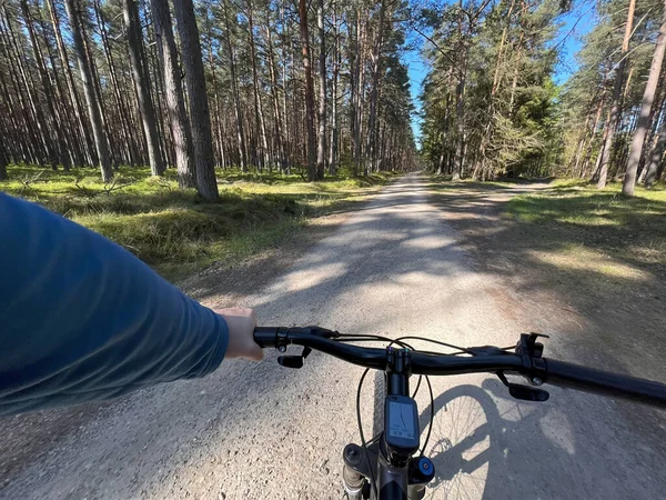 第一人称骑自行车在树林里 骑自行车的人骑自行车在森林里 第一人称视图 旅行概念 — 图库照片