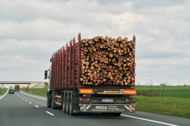 Kamyon, bir yaz gününde banliyö asfalt otobanında yarı karavan üzerinde kütük taşıyor. Avrupa 'da ticari kereste ithalatını kavra.