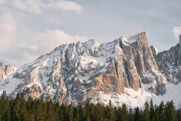 Uma Montanha Coberta Neve Com Pinheiros Primeiro Plano Majestosas Dolomitas — Fotografia de Stock