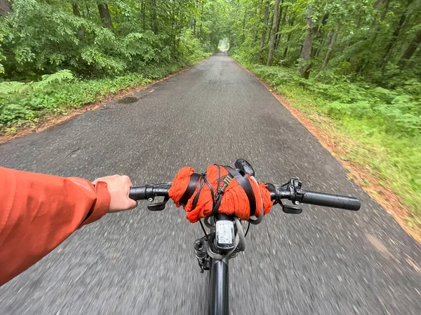 Bicycle Trip Forest Journey Bicycle Touring Exploring Wilderness Bikepacking Adventure — Stock Photo, Image