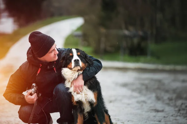 Liebenswerter Junger Berner Sennenhund Den Schweizer Alpen Berner Sennenhund — Stockfoto
