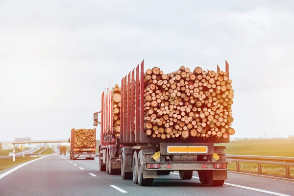Handlowy Transport Drewna Dzienniki Ciężarówek Letni Dzień Wzdłuż Przedmieścia Autostrady — Zdjęcie stockowe