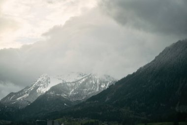 Misty Sükunet. Büyüleyici kozalaklı ormanlarda ve görkemli dağlarda bir yolculuk. Huzurlu Bir Yaz Sahnesinde Doğanın Huzurlu Güzelliğini Keşfedin, Ebedi Cazibeye Batmış