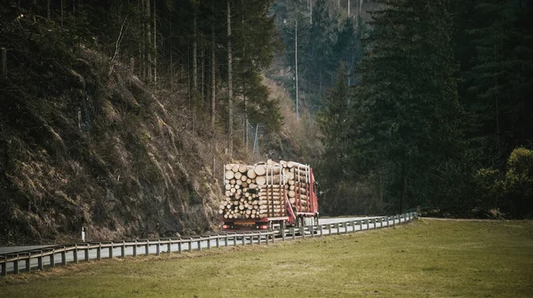 통나무를 트레일러와 고속도로에 나무를 내보내기 트럭은 여름날 아스팔트 고속도로에서 트레일러에 — 스톡 사진