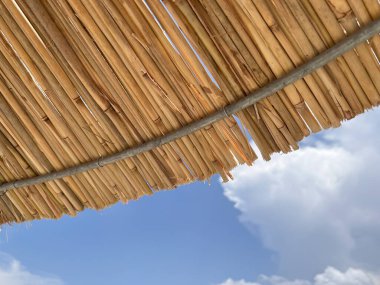 Tropikal Cennet 'te tatil. Romantik deniz sahili arka planı.