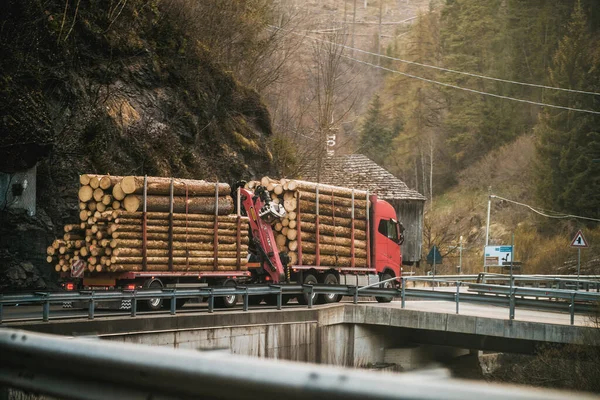 Włochy Europa 2023 Operacje Logowania Alpach Loading Logs Hydraulic Machinery — Zdjęcie stockowe