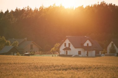 Ağustos akşamı kırsal tarım manzarası. Ülkede tarım ve tarım.