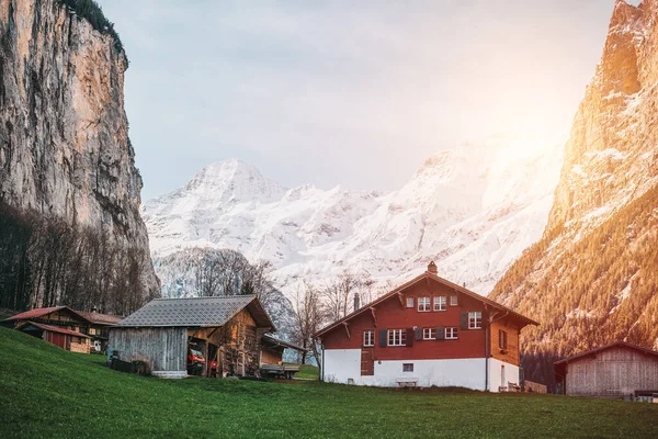 Grindelwald Sviçre Köyü Dağ Alpleri Manzara Manzarası Yeşil Tarlalarda Ahşap — Stok fotoğraf