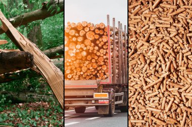 Woods 'tan Heat in Homes' a kadar. The Journey of Wood Pellet Yapımı. Soba ve kazan için ahşap topaklar. Sürdürülebilir gelecek konsepti.