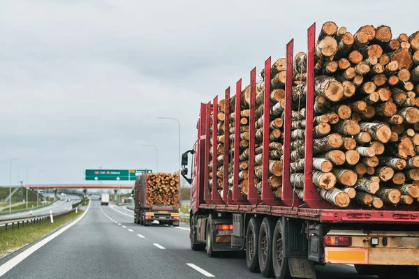 Drewniane Ciężarówki Dzienniki Transportowe Eksport Drewna Autostradzie Przyczepą Pełną Kłód — Zdjęcie stockowe