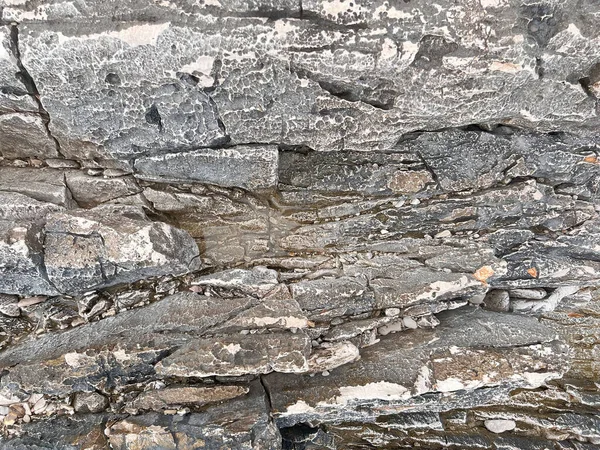 ウェットストーン海岸背景テクスチャ 海岸線の灰色の石の緑と風化の抽象的なテクスチャ — ストック写真