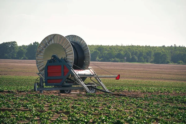 Sustainable Crop Watering. Industrial Hose Reel Machine Ensuring Efficient Irrigation for Healthy Agricultural Fields. Rural farm landscape background.