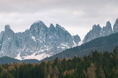 Majestic Dolomites Peyzajı. İtalyan Alplerinde karla kaplı dağlar ve çam ağaçları. Önünde çam ağaçları olan karlı bir dağ..