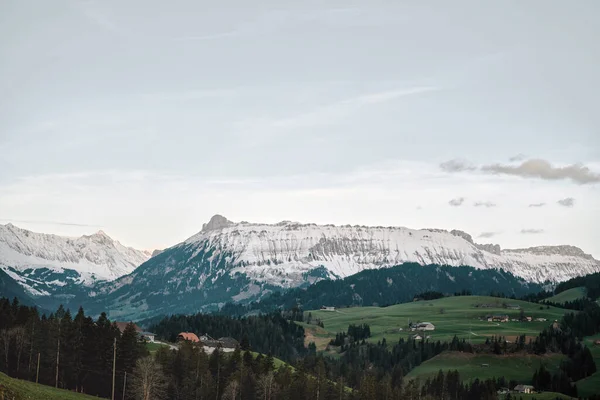 Sviçre Alpleri Majestic Dolomites Peyzajı Karla Kaplı Dağlar Alplerdeki Çam — Stok fotoğraf