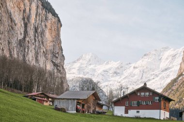 Majestic Dolomites Peyzajı. İtalyan Alplerinde karla kaplı dağlar ve çam ağaçları. Önünde çam ağaçları olan karlı bir dağ..