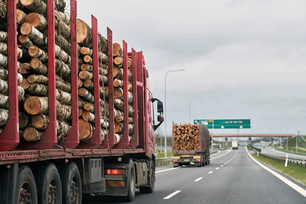 Drewniana Ciężarówka Przewozi Kłody Wzdłuż Autostrady Widok Tyłu Przyczepy Pełnej — Zdjęcie stockowe