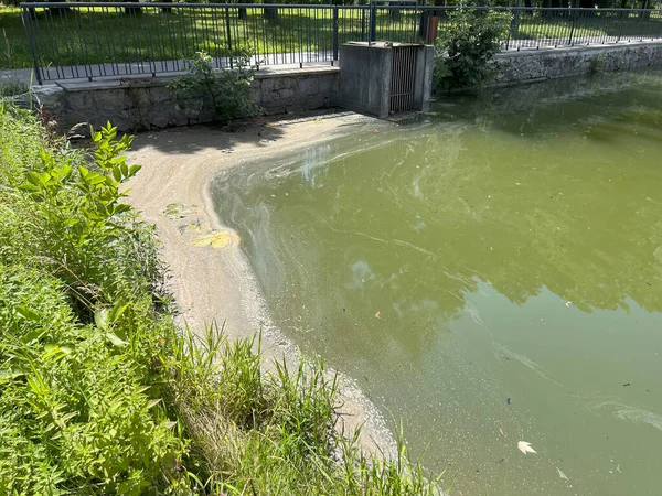 Summer Algal Blooms. Exploring Water Contamination and Environmental Impact. Global environmental pollution problem caused by chemicals and industries. Bad ecology. Polluted water