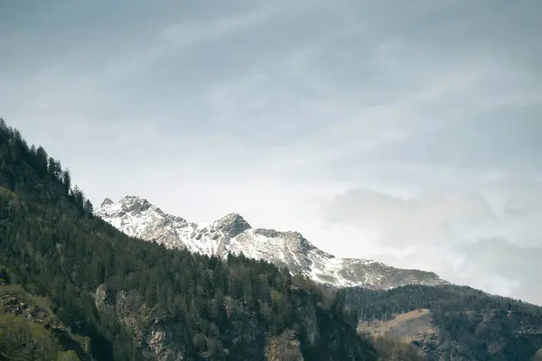 Majesteleri Alp Esrarengiz Görkemi Moody Tepeleri Verdant Vadileri Nde Büyüleyici — Stok fotoğraf