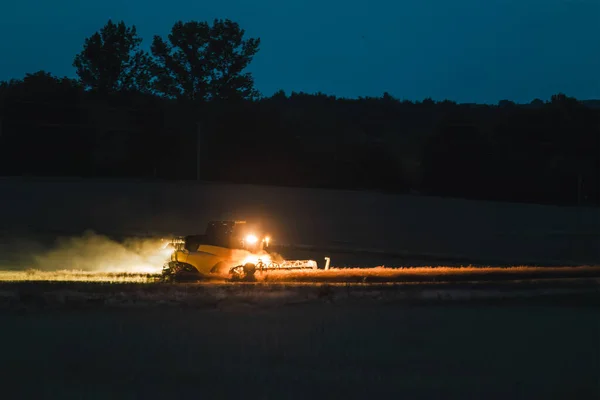 Harvesting combine working at night. The harvester operates in the field in the evening. Wheat harvested at night.