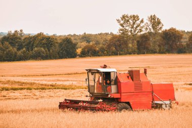 Verimli Tarım Operasyonları. Gün batımında tarla ekimi ve ekin hasadı. Kırsal alan.