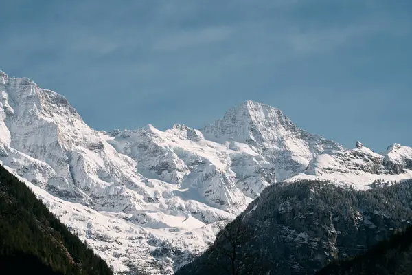 Majestuoso Paisaje Dolomitas Montañas Cubiertas Nieve Pinos Los Alpes Italianos — Foto de Stock