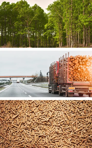 Wood pellets for stoves and boilers. From Woods to Heat. The Journey of Wood Pellet Production. Sustainable future concept.