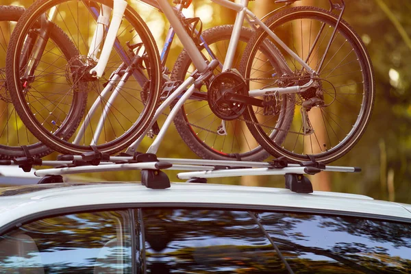 Transporte Bicicletas Tejadilho Carro Conceito Uma Viagem Verão Uma Viagem — Fotografia de Stock