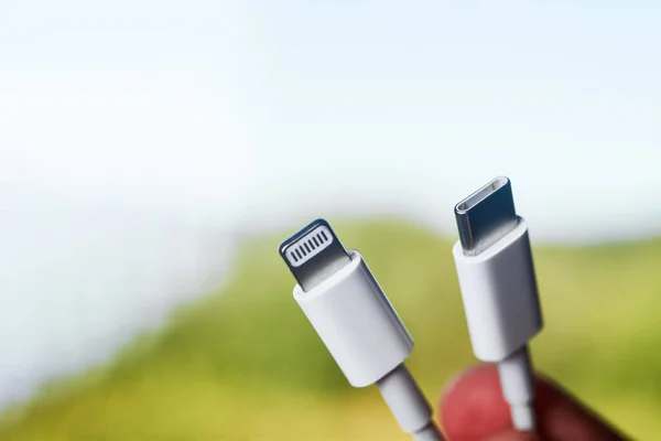 USB type C port cable to charge the smartphone. EU law to force USB-C chargers. Lightning to USB-C.