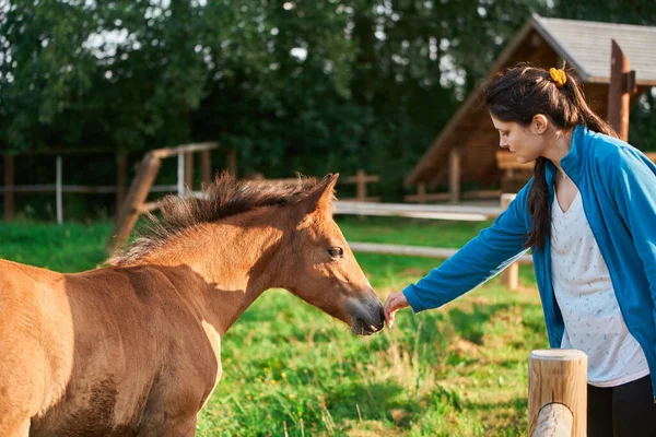 Animal Therapy in Nature. Girl and Horse Enjoying a Summer Day. Young Girl and Horse in Meadow