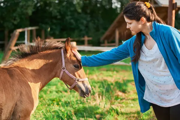 Woman and Horse in a Moment of Therapy. Girl and Horse Share a Therapeutic Connection.