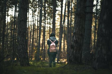 Ormanda dikilen bir kadın. Arkadan bak. Kız ormanda sırt çantası takıyor. Tek başına açık hava maceraları.