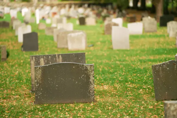 セリーン墓地の風景の中で墓石 永遠の休息 古い墓地のブランク墓石 — ストック写真