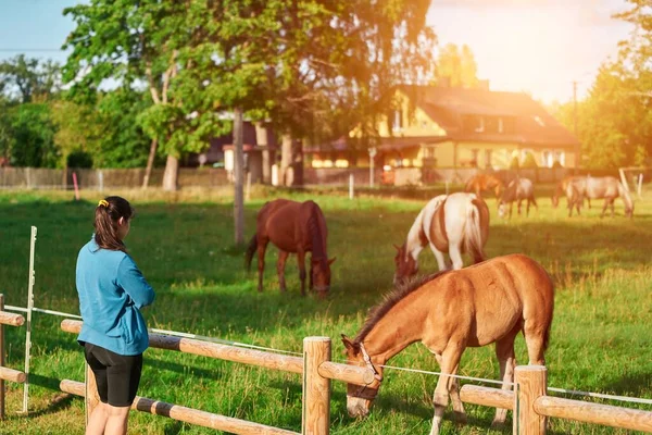 Animal Therapy in Nature. Girl and Horse Enjoying a Summer Day. Young Girl and Horse in Meadow