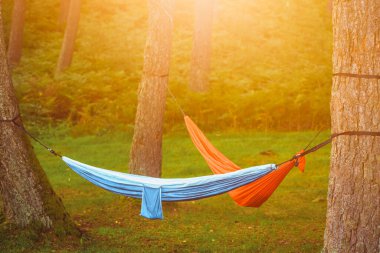 Ormandaki hamaklar. Açık hava dinlenme kavramı.