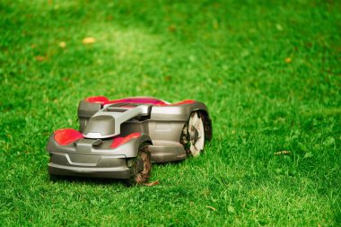 Otomatik çim biçme makinesi çalışıyor. Robot çim biçme makinesi. Çim bahçesinde. Akıllı ev ve yaşam
