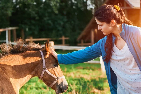 Woman Bonds with Brown Horse in Animal Therapy. Tranquil Connection. Rehabilitation and Friendship with a Brown Horse