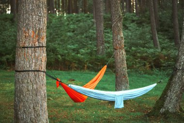 Ormandaki hamaklar. Açık hava dinlenme kavramı.